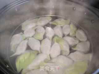 #面食# Jade Baicai Dumplings recipe