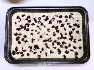 Sugar Free Cranberry Oatmeal Chiffon Cake recipe