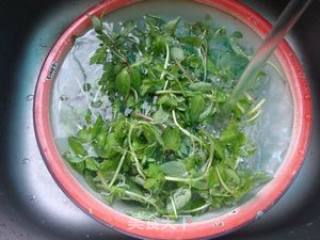 Stir-fried Water Coriander recipe