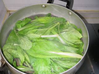 Hazel Mushroom and Chinese Cabbage in Oyster Sauce recipe