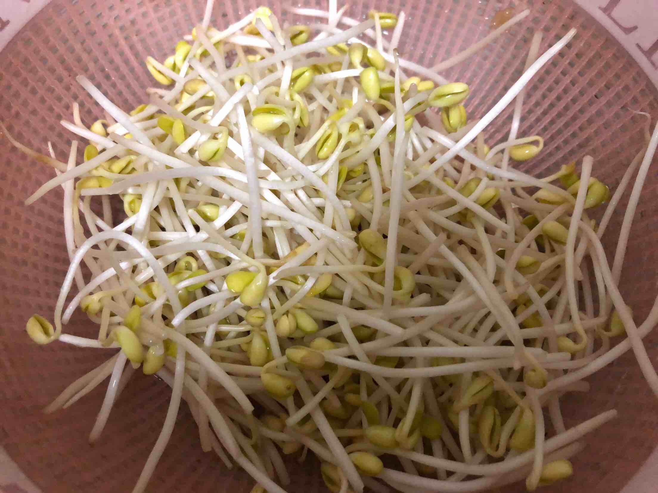 Stir-fried Dried Seeds with Chives and Bean Sprouts recipe