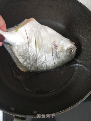 Braised Pomfret recipe