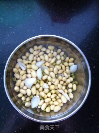 Mung Bean Lily Soy Milk recipe