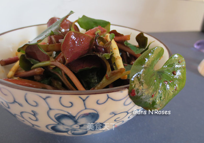 One Dollar Seasonal Side Dish——pleurotus Ostreatus in Cold Dressing recipe