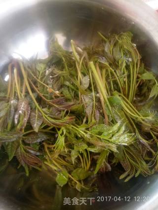 #春食野菜香# Pickled Toon recipe