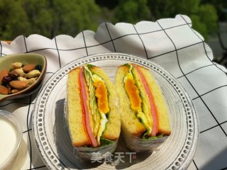 A Lot of Sandwiches recipe