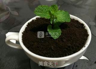 Chuanxiu Yogurt Potted Plant recipe