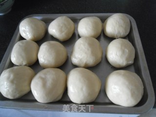 Sunflower Seed Bread recipe