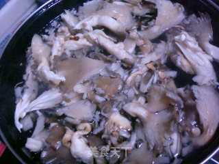 Pleurotus Ostreatus recipe