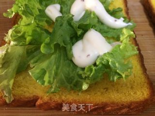 #trust之美#salmon Sandwich recipe