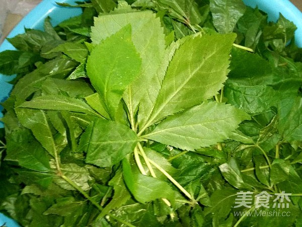 Fried Acanthopanax Leaves recipe