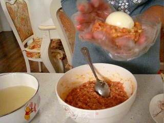 Meat Ball with Soy Sauce recipe