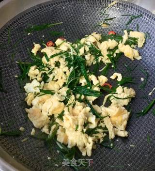 Scrambled Eggs with Wild Onion recipe