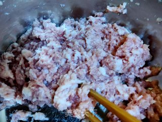Pork Zucchini and Shrimp Dumplings recipe