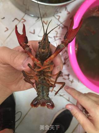 Braised Prawns with Homemade Oil, Summer Favorite! recipe