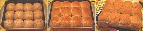 Whole Grain Bread recipe