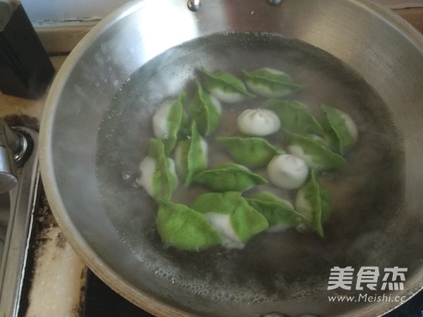 Beef Emerald Dumplings recipe