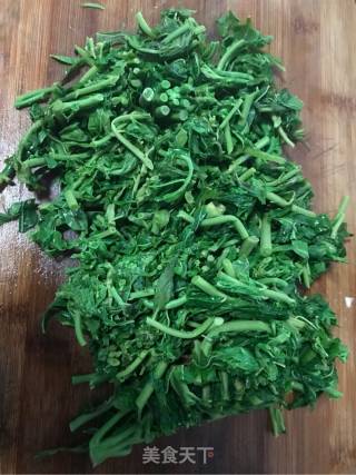Scrambled Eggs with Toon Sprouts recipe
