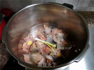 Braised Pheasant in Brown Sauce recipe