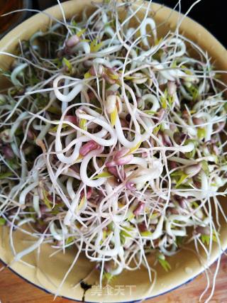 Vinegar Stupid Bean Sprouts recipe