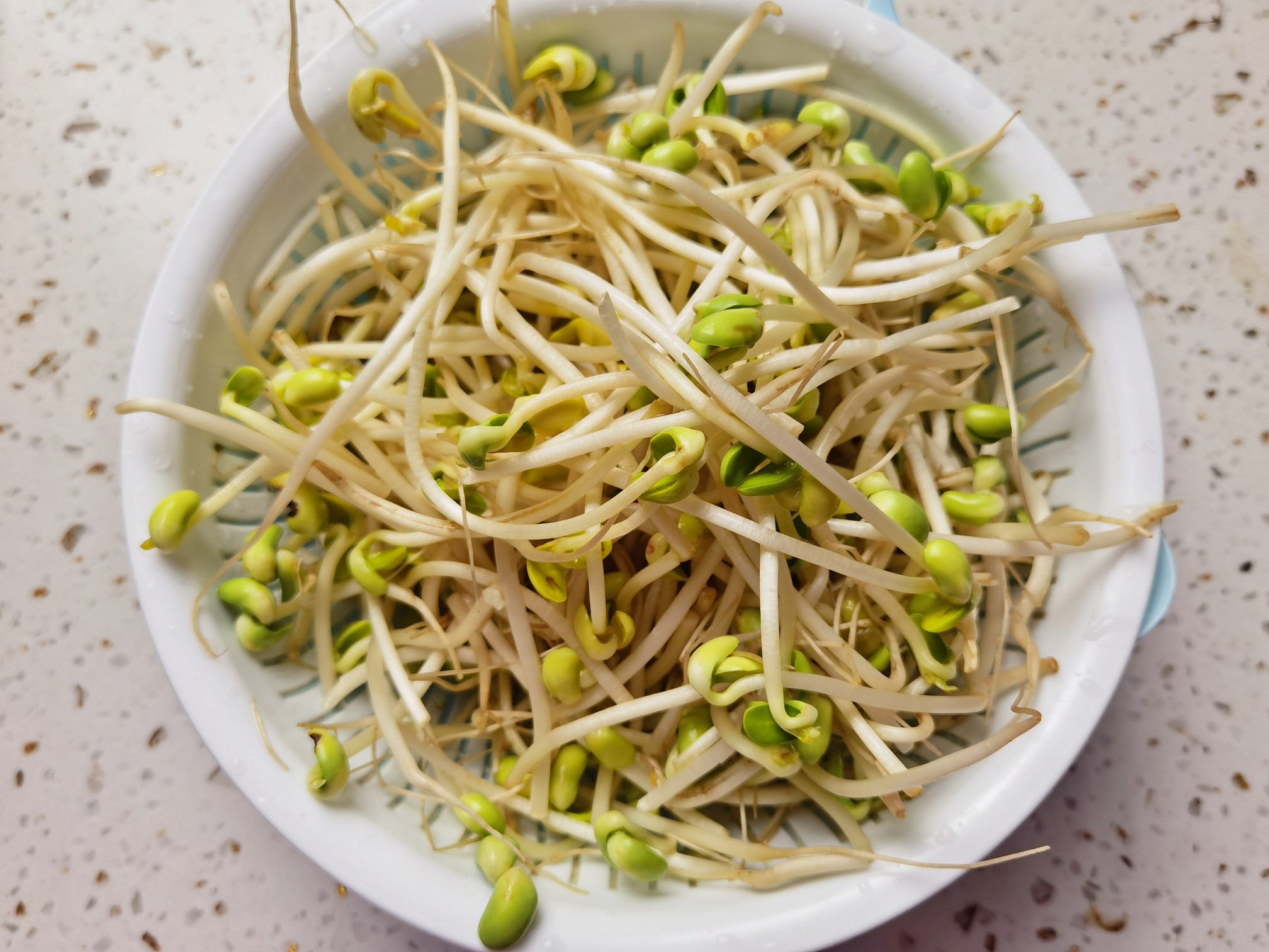 Although It’s A Vegan Dish, It’s Not Greasy Even After Eating for A Few Days, So It’s Easy to Stir Fry recipe