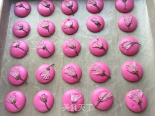 French Sakura Macaron recipe