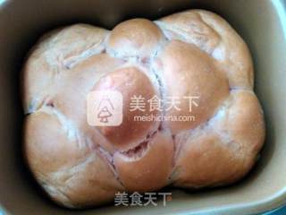 Bai Cuiyun's Recipe Stupid Bear Bread recipe