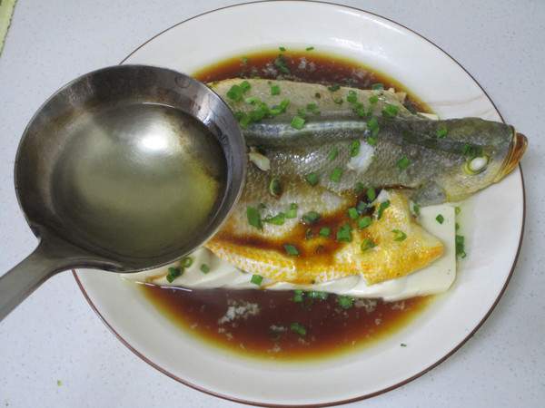 Steamed Tofu with Small Yellow Croaker recipe