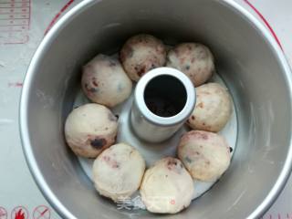 Blueberry Meal Buns recipe