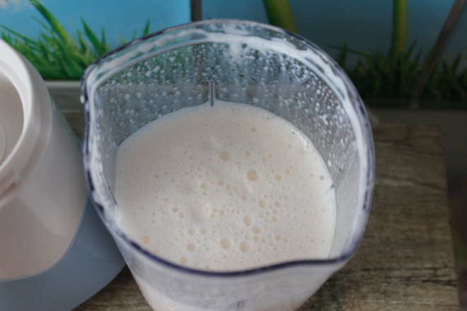 Delicious Cantaloupe Milkshake recipe