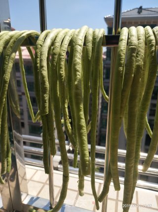 Homemade Capers recipe