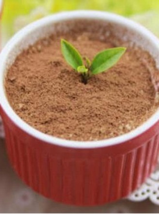 Cherry Mousse Potted Plant recipe