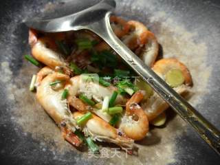 Brine Shrimp recipe