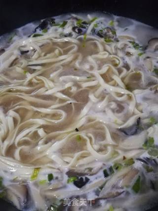 Noodles with Mushrooms and Fungus Sauce recipe