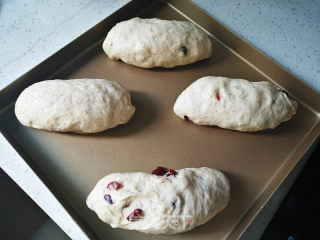 Cranberry Whole Wheat Golden Germ Bread recipe