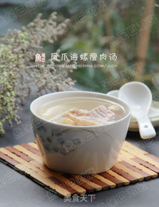 Cantonese Old Fire Soup---phoenix Claw Conch Lean Broth recipe