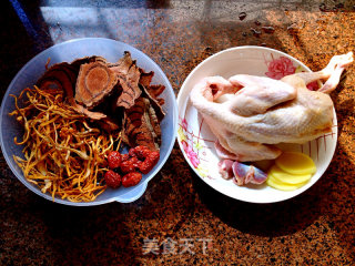 Chicken Spatholobus, Cordyceps Flower, Pigeon Soup recipe