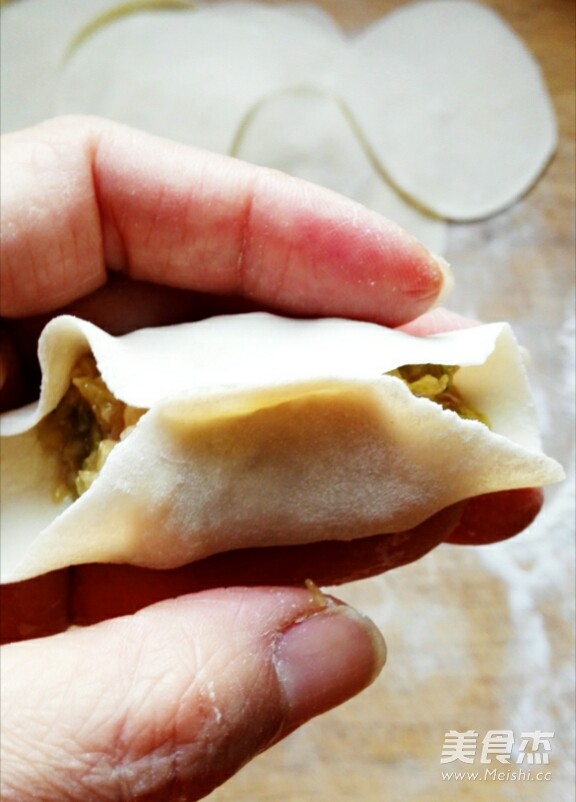 Pork and Cabbage Dumplings (detailed Version Includes Dumpling Kneading Method) recipe