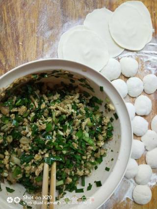 Whitebait and Leek Dumplings recipe