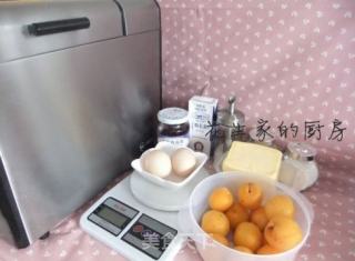 Cranberry Sweet Apricot Bread recipe