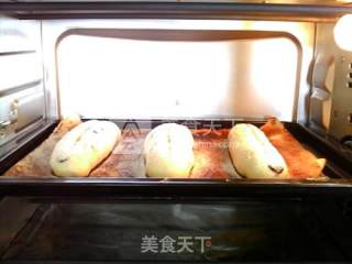 Cranberry Cheese Bun recipe