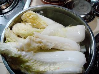 One of The Important Ingredients of Korean Food "spicy Cabbage" recipe