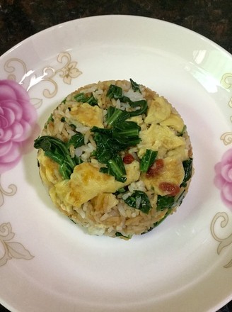 Fried Rice with Choy Sum recipe