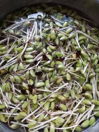 Fried Black Bean Sprouts with Yuba recipe