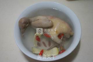 Steamed Pigeon Soup recipe