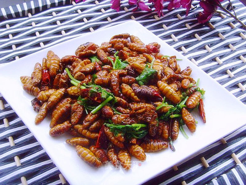 Dry Stir-fried Silkworm Pupae. recipe