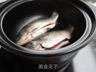 Papaya Crucian Carp Soup recipe
