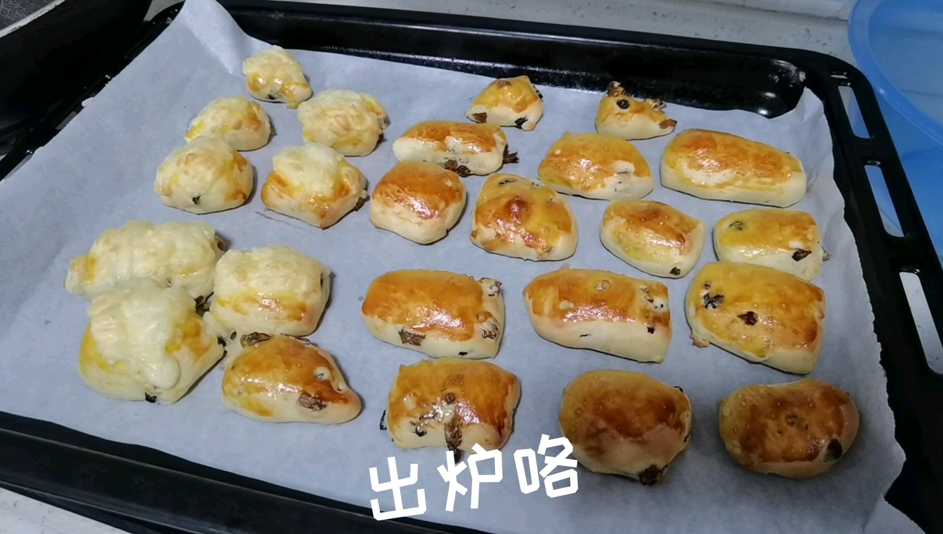 Baby Yogurt Raisin Buns recipe