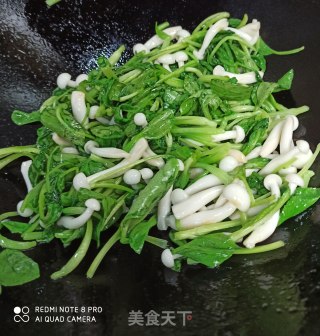 Grilled White Jade Mushroom with Small Vegetables recipe