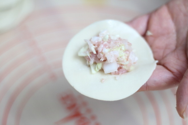 Pork and Chinese Cabbage Dumplings recipe